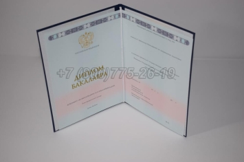 Диплом Бакалавра 2024г ГОЗНАК в Сочи