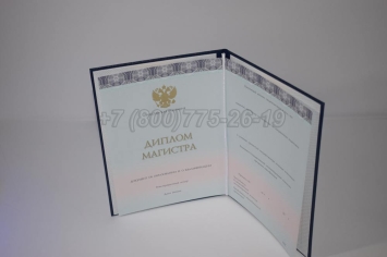 Диплом Магистра 2025г ООО "Знак" в Сочи