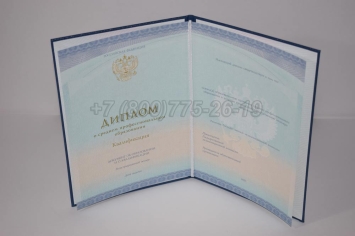Диплом Колледжа 2025г СпецБланк в Сочи