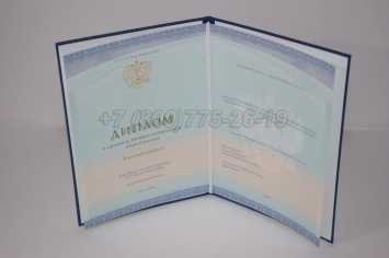 Диплом Техникума 2018г СпецБланк в Сочи